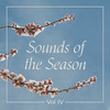 O Holy Night - 朴小恩