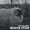 White Star (Dj Tools) - StevAxel