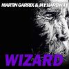 Wizard (Original Mix) - Martin Garrix&Jay Hardway