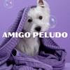 MASCOTA TRANQUILA - Mascota