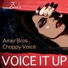 Voice it up (Original Mix) - Amer Bros