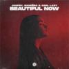 Beautiful Now - JANFRY&Sandëro&Carl Lazy&Antonina Armato&Jonathan Bellion&Zedd&David Jost&Desmond Child&T. Price