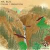 Cross (Original Mix) - Mr. Bizz