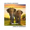 Arms Of Surrender (Original Mix) - Ana Criado&ReOrder