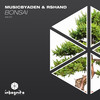 Bonsai (Extended Mix) - musicbyaden&rshand