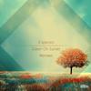 Dawn On Sunset (Feri Remix) - E-Spectro