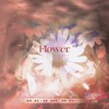 Flower (cover: Various Artists) - 凯乐