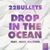 Drop In The Ocean(feat. Hero Baldwin) - 22 Bullets&Hero Baldwin