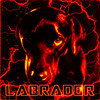 LABRADOR (Instrumental Version) - ZipLock1337&HELLI