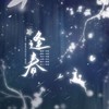 逢春——记桐华《散落星河的记忆》殷南昭 (cover: 蔡翊昻) - 琴师&阿晴小朋友