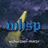 W tej grze liczy się prawda (feat. DeCe) (Explicit) - WHSP&DeCe