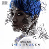 She's Broken (Intro) (Explicit) - Sonyae Elise