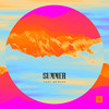 Summer (Dub Mix) - Tony Gribsun
