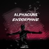 Endorphine (Radio Edit) - AlphaCube