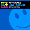 Now I Realise - Winterlake