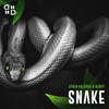 Snake - Efren Valdivia&Bloky