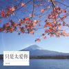 只是太爱你 (cover: 张敬轩) - 胡小斐
