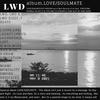 SOUL IN HEAVEN (Explicit) - LWD