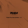 Ashes To Ashes (Original Mix) - Trippin Fox&Katy Cardozo