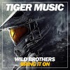 Bring It Down (Original Mix) - Wild Brothers