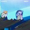 Ndt - CANTI