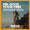 Feel The Vibe (The Acrobatics Bass House Dub Mix) - Boys On Decks