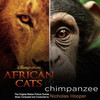 That Man(Chimpanzee swing) - Nicholas Hooper
