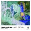 Wild Orchid (Main Mix) - Spiritchaser&Angie Brown