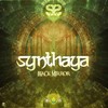 Dwarka - Synthaya