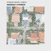 Wednesday Afternoon (Explicit) - Strider White&Conch