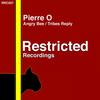 Tribe's Reply (Original Mix) - Pierre O
