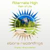 Path of Life (Original Mix) - Alternate High