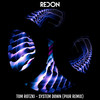 System Down (PIUR Remix) - Tom Rotzki&PIUR