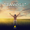 Zavoli - Nikola Rokvic