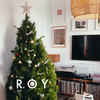 Naughty List Appeal - Roy