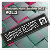 Trails (Original Mix) - Ruben Rivadeneira