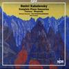 III. Vivace - Cadenza: Rubato sostenuto - Largamente - Tranquillo (Tempo I) - Allegro marcato - Tempo I - Michael Korstick&Hannover North German Radio Symphony&Alun Francis