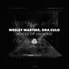 Voices of Universe (Original Mix) - Wesley Martins&Oraculo