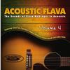 One Hit Wonda Acoustic - i wayne