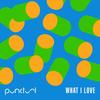 What I Love (Remix) - Punctual
