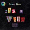 It's a vibe(feat. NorthOfIkari) (Explicit) - Young Dune&northofikari