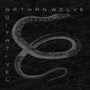 Indigo Mind - Nathan Wolve