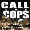 Pollifrog - Bernie&The Boomers