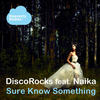 Sure Know Something (Yuriy Poleg Remix) - DiscoRocks&Naika