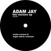 Vector 2 (Sasha Carassi Remix) - Adam Jay