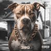 Big Dog Status (feat. Darian Nelson & Torrance Gordon) (Explicit) - Certified360beatz&Darian Nelson&Torrance Gordon