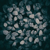 Together (Original Mix) - E.lemental