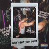 Not What You Want (Explicit) - Savas