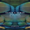 Going Insane (Alnath Remix) - Kayza & Samar&Alnath