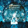 Crystal Space - Spinal Fusion